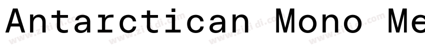 Antarctican Mono Med字体转换 Antarctican Mono Med字体转换